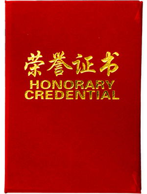 優(yōu)比施榮譽資質(zhì)：不間斷電源十大品牌表彰