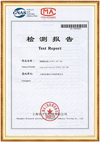 蓄電池檢測(cè)報(bào)告