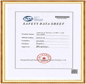 SDS檢驗(yàn)報(bào)告英文版