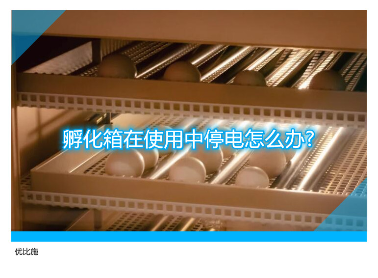 孵化箱在使用中停電怎么辦?
