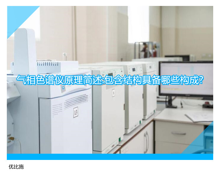 氣相色譜儀原理簡述:包含結(jié)構(gòu)具備哪些構(gòu)成?