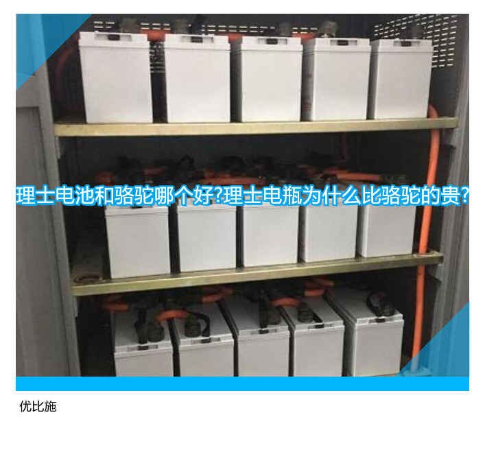 理士電池和駱駝哪個好?理士電瓶為什么比駱駝的貴?
