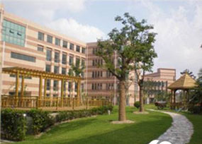 奧普生物ups電源 奧普生物ups電源